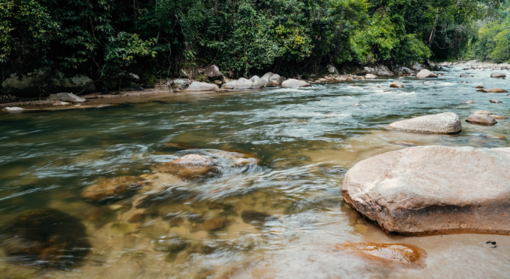 PasIr Sungai